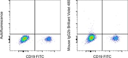 Invitrogen&trade;&nbsp;Mouse IgG2b kappa Isotype Control (eBMG2b), Brilliant Violet&trade; 480, eBioscience&trade;