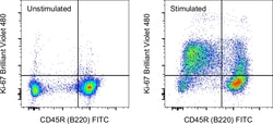 Invitrogen Ki-67 Monoclonal Antibody (SolA15), Brilliant Violet 480, eBioscience