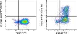 Invitrogen iNOS Monoclonal Antibody (CXNFT), Brilliant Violet 480, eBioscience