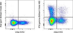 IFN gamma Monoclonal Antibody (XMG1.2), Brilliant Violet 480, eBioscience