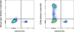 CD8a Monoclonal Antibody (SK1), Brilliant Violet 650, eBioscience , Invitrogen