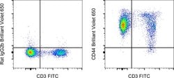 CD44 Monoclonal Antibody (IM7), Brilliant Violet 650, eBioscience , Invitrogen:Antibodies:Primary