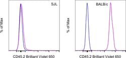 CD45.2 Monoclonal Antibody (104), Brilliant Violet 650, eBioscience , Invitrogen:Antibodies:Primary