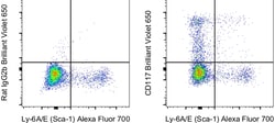 Invitrogen CD117 (c-Kit) Monoclonal Antibody (2B8), Brilliant Violet 650,