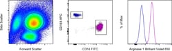 Invitrogen Arginase 1 Monoclonal Antibody (A1exF5), Brilliant Violet 650,