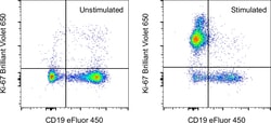 Ki-67 Monoclonal Antibody (SolA15), Brilliant Violet 650, eBioscience ,