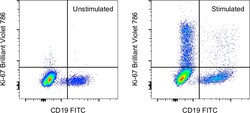 Ki-67 Monoclonal Antibody (20Raj1), Brilliant Violet 786, eBioscience ,