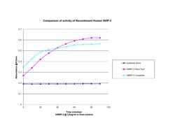 Gibco Human MMP-3 Recombinant Protein, PeproTech:Proteínas recombinantes