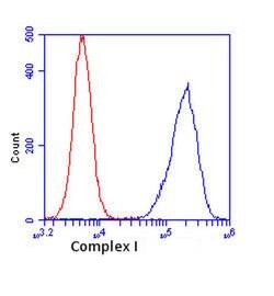 Invitrogen Complex I Monoclonal Antibody (18G12BC2) 100 &mu;g; Unconjugated:Antibodies,