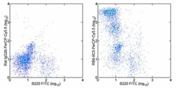Invitrogen Ly-6G/Ly-6C Monoclonal Antibody (RB6-8C5), PerCP-Cyanine5.5,