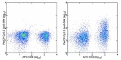 IL-2 Monoclonal Antibody (JES6-5H4), PerCP-Cyanine5.5, eBioscience , Invitrogen:Antibodies:Primary
