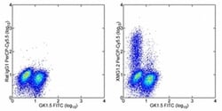 IFN gamma Monoclonal Antibody (XMG1.2), PerCP-Cyanine5.5, eBioscience ,