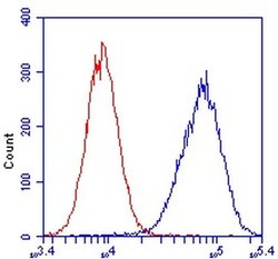 Invitrogen COX5A Monoclonal Antibody (6E9B12D5) 100 &mu;g; Unconjugated:Antibodies,