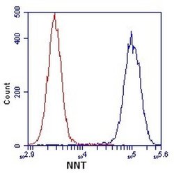 Invitrogen NNT Monoclonal Antibody (8B4BB10) 100 &mu;g; Unconjugated:Antibodies,