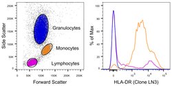 HLA-DR Monoclonal Antibody (LN3), PerCP-Cyanine5.5, eBioscience , Invitrogen:Antibodies:Primary
