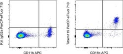 Tmem119 Monoclonal Antibody (V3RT1GOsz), PerCP-eFluor 710, eBioscience