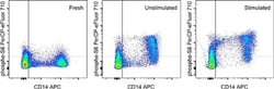 Invitrogen&trade;&nbsp;Phospho-S6 (Ser235, Ser236) Monoclonal Antibody (cupk43k), PerCP-eFluor&trade; 710, eBioscience&trade;