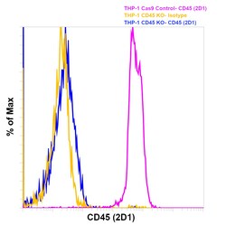 CD45 Monoclonal Antibody (2D1), APC-eFluor 780, eBioscience , Invitrogen:Antibodies:Primary