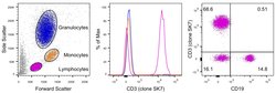 CD3 Monoclonal Antibody (SK7), APC-eFluor 780, eBioscience , Invitrogen:Antibodies:Primary