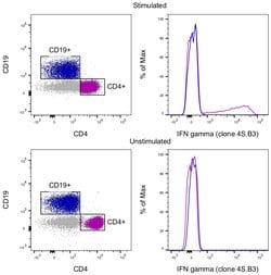 IFN gamma Monoclonal Antibody (4S.B3), APC-eFluor&trade; 780, eBioscience&trade;, Invitrogen&trade;:  