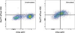 Invitrogen Nur77 Monoclonal Antibody (12.14), eFluor 450, eBioscience:Antibodies:Primary
