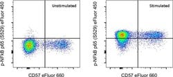 Phospho-NFkB p65 (Ser529) Monoclonal Antibody (B33B4WP), eFluor 450, eBioscience