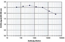 Invitrogen Histone H3 Polyclonal Antibody 100 &mu;L; Unconjugated:Antibodies,