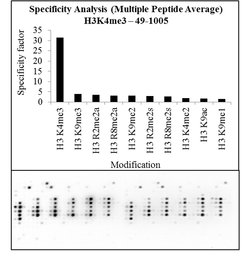 H3K4me3 Polyclonal Antibody, Invitrogen 50 &mu;g | Buy Online | Invitrogen | Fisher Scientific