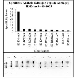 H3K4me3 Polyclonal Antibody, Invitrogen 50 &mu;g | Buy Online | Invitrogen | Fisher Scientific