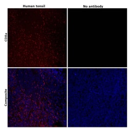 Invitrogen CD8a Monoclonal Antibody (AMC908), eFluor 660, eBioscience ,