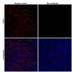 Invitrogen CD8a Monoclonal Antibody (AMC908), eFluor 660, eBioscience ,