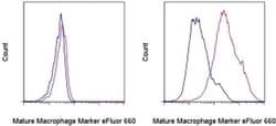 Invitrogen Mature Macrophage Marker Monoclonal Antibody (eBio25F9 (25F9)),