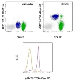 Phospho-STAT1 (Tyr701) Monoclonal Antibody (KIKSI0803), eFluor 660, eBioscience