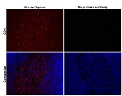 Invitrogen CD4 Monoclonal Antibody (4SM95), eFluor 660, eBioscience 25