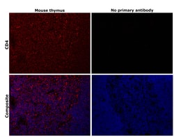Invitrogen CD4 Monoclonal Antibody (4SM95), eFluor 660, eBioscience 25