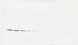 Invitrogen&trade;&nbsp;CRP Monoclonal Antibody, PeproTech&reg;