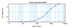 Invitrogen BAFF Monoclonal Antibody, PeproTech 500 &mu;g; Unconjugated:Antibodies,