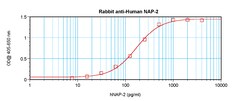 Invitrogen PPBP Polyclonal Antibody, PeproTech , Invitrogen 100 &mu;g;