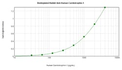 PeproTech Cardiotrophin 1 Polyclonal Antibody, Biotin, PeproTech , Invitrogen