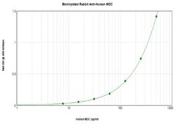 MDC Polyclonal Antibody, Biotin, PeproTech , Invitrogen:Antibodies:Primary
