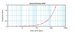 VEGF-165 Polyclonal Antibody, PeproTech , Invitrogen:Antibodies:Primary
