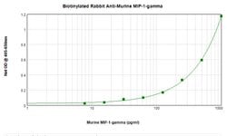 PeproTech MIP-1 gamma Polyclonal Antibody, Biotin, PeproTech , Invitrogen:Anticorps:Anticorps