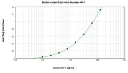 DEFA1 Polyclonal Antibody, Biotin, PeproTech , Invitrogen:Antibodies:Primary