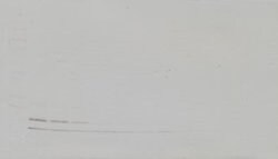 MCP-2 Polyclonal Antibody, Biotin, PeproTech , Invitrogen:Antibodies:Primary