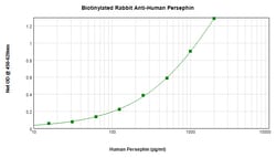 Invitrogen PSPN Polyclonal Antibody, Biotin, PeproTech , Invitrogen 500