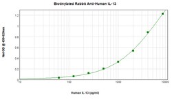 IL-13 Polyclonal Antibody, Biotin, PeproTech , Invitrogen:Antibodies:Primary
