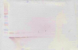 Invitrogen CXCL13 Polyclonal Antibody, PeproTech , Invitrogen 100 &mu;g;