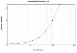 Invitrogen IL-12 p70 Polyclonal Antibody, Biotin, PeproTech , Invitrogen