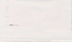 Invitrogen BAFF Polyclonal Antibody, PeproTech , Invitrogen 1 mg; Unconjugated:Antibodies,