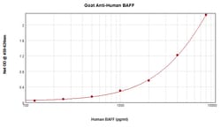 BAFF Polyclonal Antibody, PeproTech , Invitrogen:Antibodies:Primary Antibodies